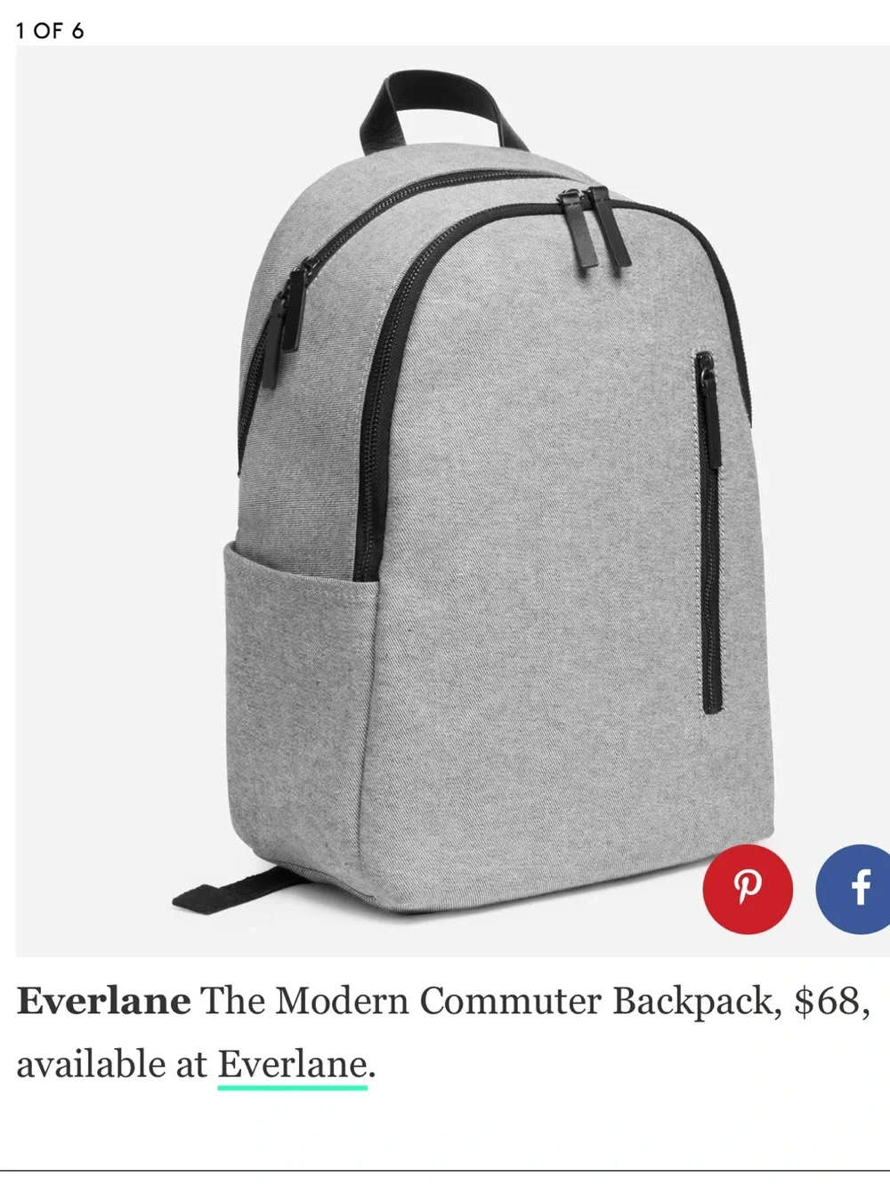 Everlane Modern Commuter Canvas Backpack